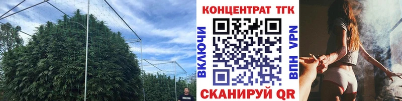 ТГК концентрат  даркнет сайт  Мамоново 